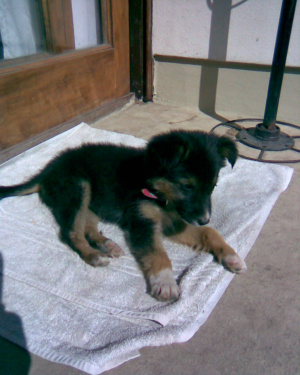 fotos/0000-00-00 - Infancia/Imagen042.jpg